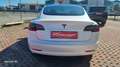 Tesla Model 3 Model 3 Standard rwd Plus Weiß - thumbnail 14