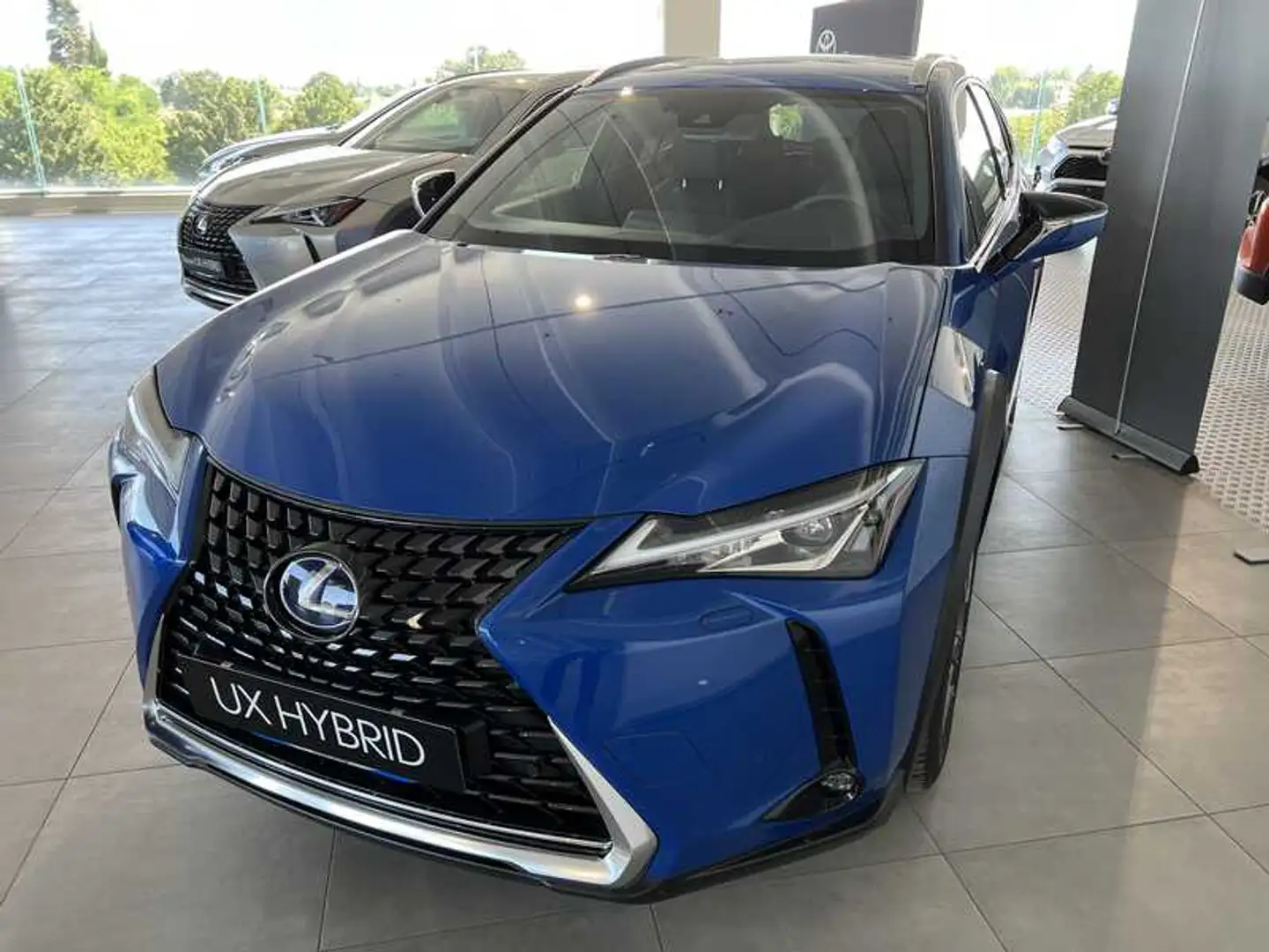 Lexus UX 300e Premium Blu/Azzurro - 2