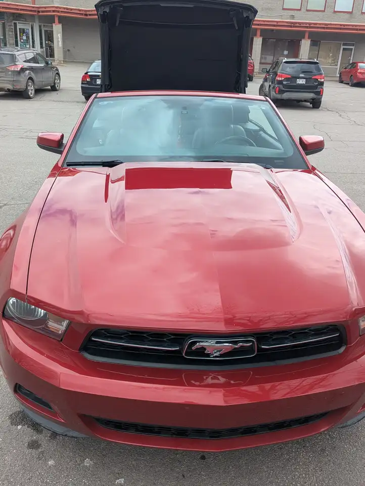 Ford Mustang снимка Ford Mustang