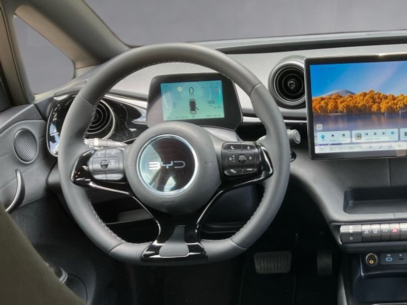 BYD Dolphin Comfort MY2025 — photo 10
