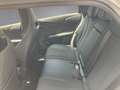 BYD Dolphin Comfort MY2025 Weiß - thumbnail 12