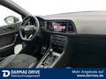 CUPRA Ateca Ateca 2.0 TSI 4Drive DSG AHK ACC 19" *8-fach* Schwarz - thumbnail 16