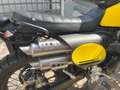 Fantic Caballero 500 Scrambler My23 Geel - thumbnail 5