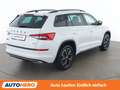 Skoda Kodiaq 2.0 TDI Sportline 4x4 Weiß - thumbnail 6