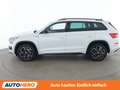 Skoda Kodiaq 2.0 TDI Sportline 4x4 Weiß - thumbnail 3