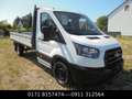Ford Transit Pritsche 350 L3 Einzelkabine Basis Weiß - thumbnail 7