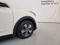 Kia Niro 1.6 PHEV Concept Plus Blanco - thumbnail 9