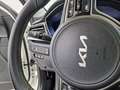 Kia Niro 1.6 PHEV Concept Plus Blanco - thumbnail 31