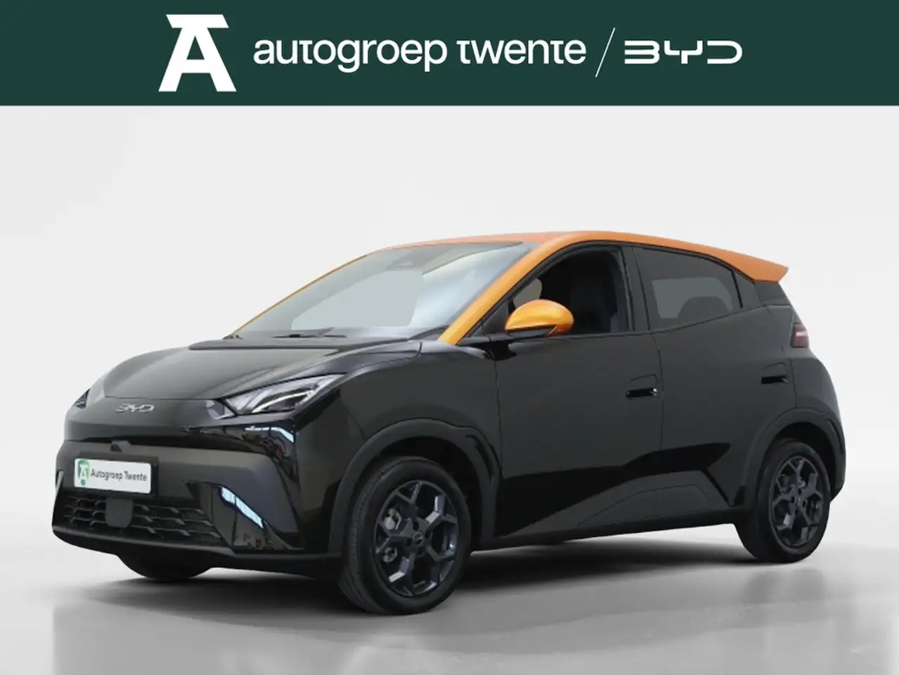 BYD Dolphin Surf 2026