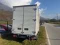 Iveco DAILY  35S14 3.0 CV 140 SOLO 27038KM Bianco - thumbnail 14