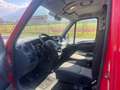 Iveco DAILY  35S14 3.0 CV 140 SOLO 27038KM Bianco - thumbnail 5