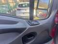 Iveco DAILY  35S14 3.0 CV 140 SOLO 27038KM Bianco - thumbnail 6