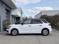 Citroen C4 Picasso 120 Shine Aut. **Kamera/Massagesitze** Weiß - thumbnail 9