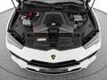 Lamborghini Urus S Blanc - thumbnail 30