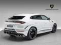 Lamborghini Urus S Blanc - thumbnail 25
