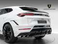 Lamborghini Urus S Blanc - thumbnail 28