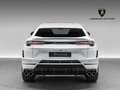 Lamborghini Urus S Blanc - thumbnail 26