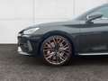 CUPRA Leon SP VZ 4Drive 2.0 TSI AHK Pano Brembo Kamera Navi D Schwarz - thumbnail 21