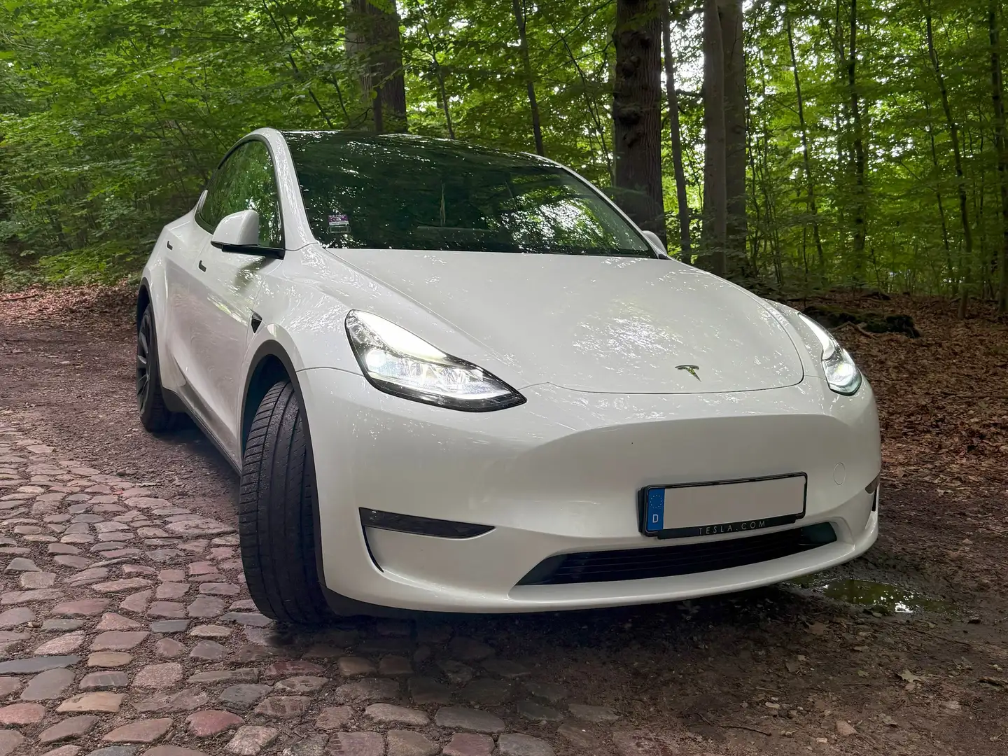 Tesla Model Y Model Y Long Range Dual Motor AWD Weiß - 1
