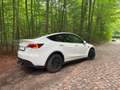 Tesla Model Y Model Y Long Range Dual Motor AWD Weiß - thumbnail 3