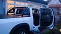 Dodge RAM Classic/Big Horn Weiß - thumbnail 5