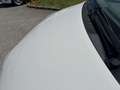 Toyota Yaris Sol KLIMA TEMPOMAT R-KAMERA Weiß - thumbnail 16