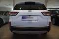 Ford Kuga 2,0 ECOBLUE TITANIUM Virtual/Navi/LED Weiß - thumbnail 6