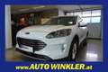 Ford Kuga 2,0 ECOBLUE TITANIUM Virtual/Navi/LED Weiß - thumbnail 1
