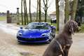 Ferrari 296 GTB Blue Elettrico - Carbone - Daytona Seats Blau - thumbnail 8