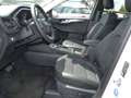 Ford Kuga Plug-In Hybrid Titanium X 2.5 Duratec -PHEV EU6d N White - thumbnail 13