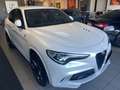 Alfa Romeo Stelvio Stelvio 2.9 V6 Quadrifoglio Q4 PRONTA CONSEGNA Bianco - thumbnail 3