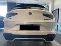 Alfa Romeo Stelvio Stelvio 2.9 V6 Quadrifoglio Q4 PRONTA CONSEGNA Bianco - thumbnail 6