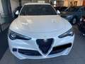 Alfa Romeo Stelvio Stelvio 2.9 V6 Quadrifoglio Q4 PRONTA CONSEGNA Bianco - thumbnail 5
