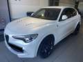 Alfa Romeo Stelvio Stelvio 2.9 V6 Quadrifoglio Q4 PRONTA CONSEGNA Bianco - thumbnail 1