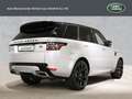 Land Rover Range Rover Sport SDV6 HSE Dynamic 570,- OHNE ANZAHLUNG Silber - thumbnail 5