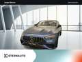 Mercedes-Benz AMG GT GT 53 4M+ Magno Akustik Carbon V8Style Fahrassi+ Blau - thumbnail 1