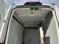 Ford Transit 350 2.0  L3H3 Trend RWD !APPLEPLAY-CAM-NAVI-KLIMA Wit - thumbnail 15