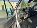 Ford Transit 350 2.0  L3H3 Trend RWD !APPLEPLAY-CAM-NAVI-KLIMA Wit - thumbnail 16