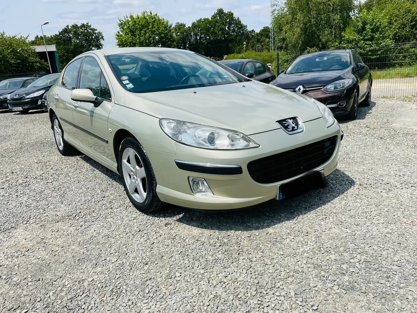 Peugeot 407 2.0 HDi 16v Exécutive Pack FAP Bronce - 2