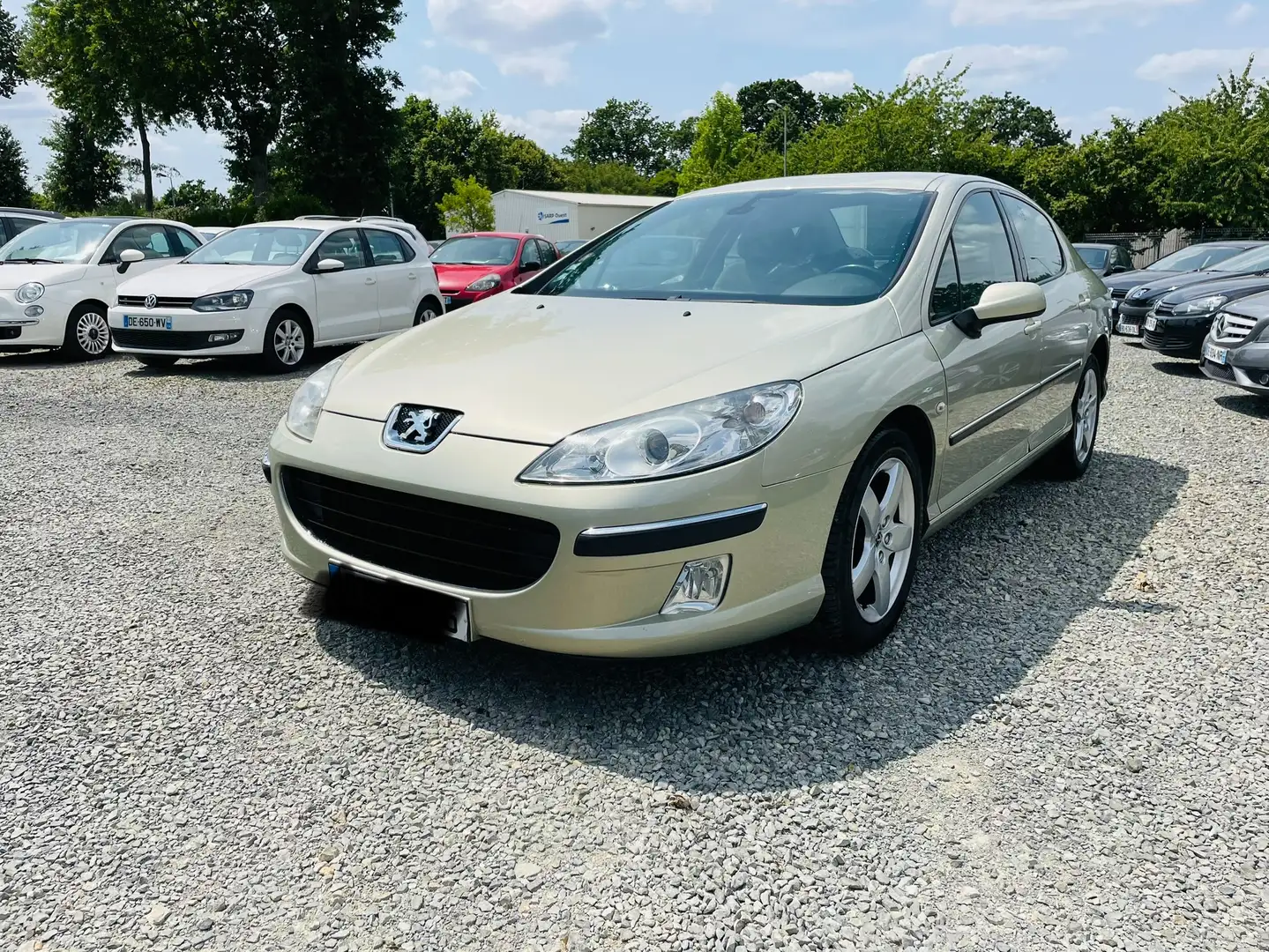 Peugeot 407 2.0 HDi 16v Exécutive Pack FAP Bronce - 1