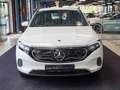 Mercedes-Benz EQA 250 EQA 250+ Electric Art Spurhalte CarPlay Kamera Білий - thumbnail 9