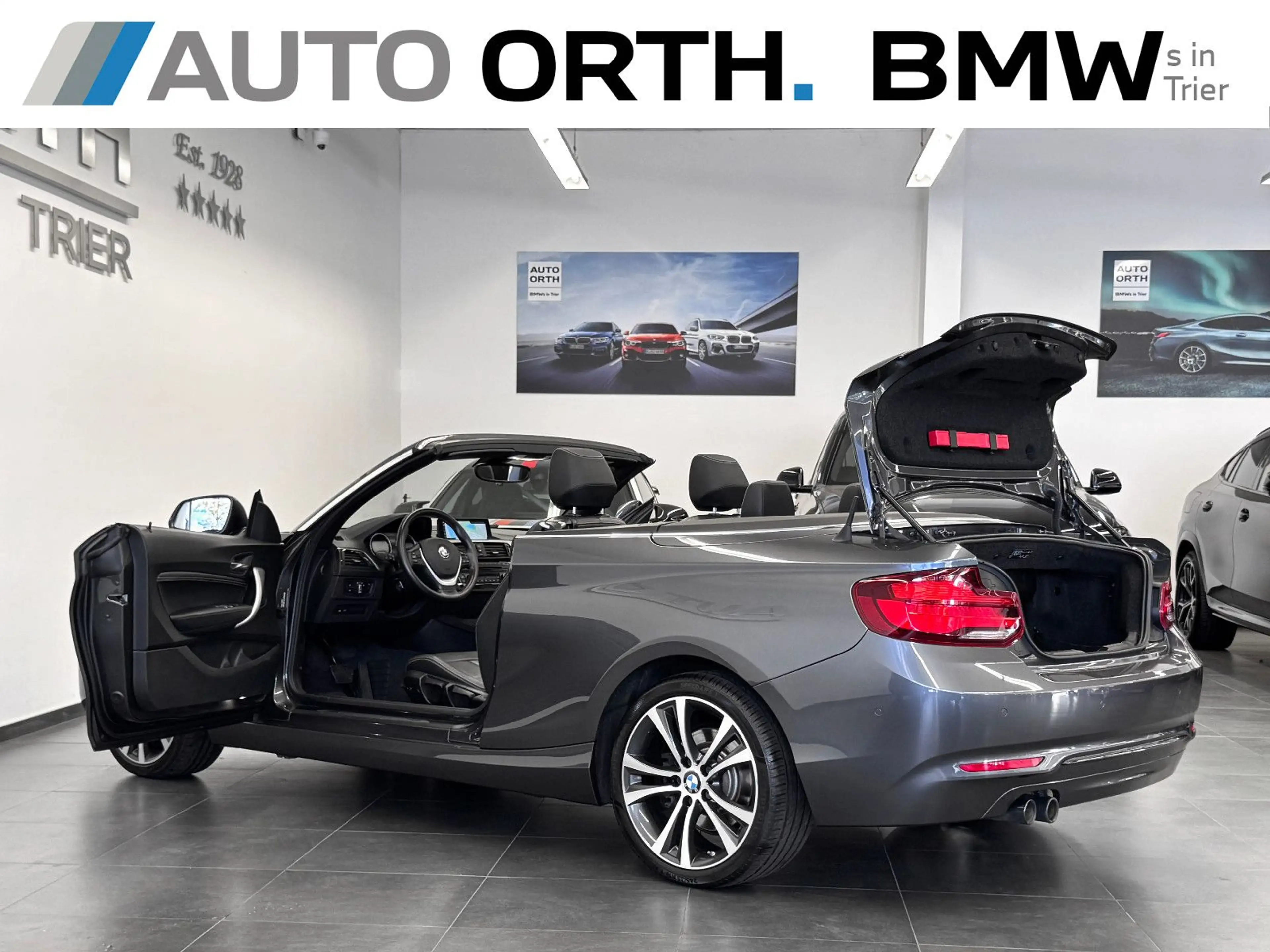 BMW 220 i Cabrio AUT. SPORT-LINE LEDER NAVI-P LED RFK — photo 9