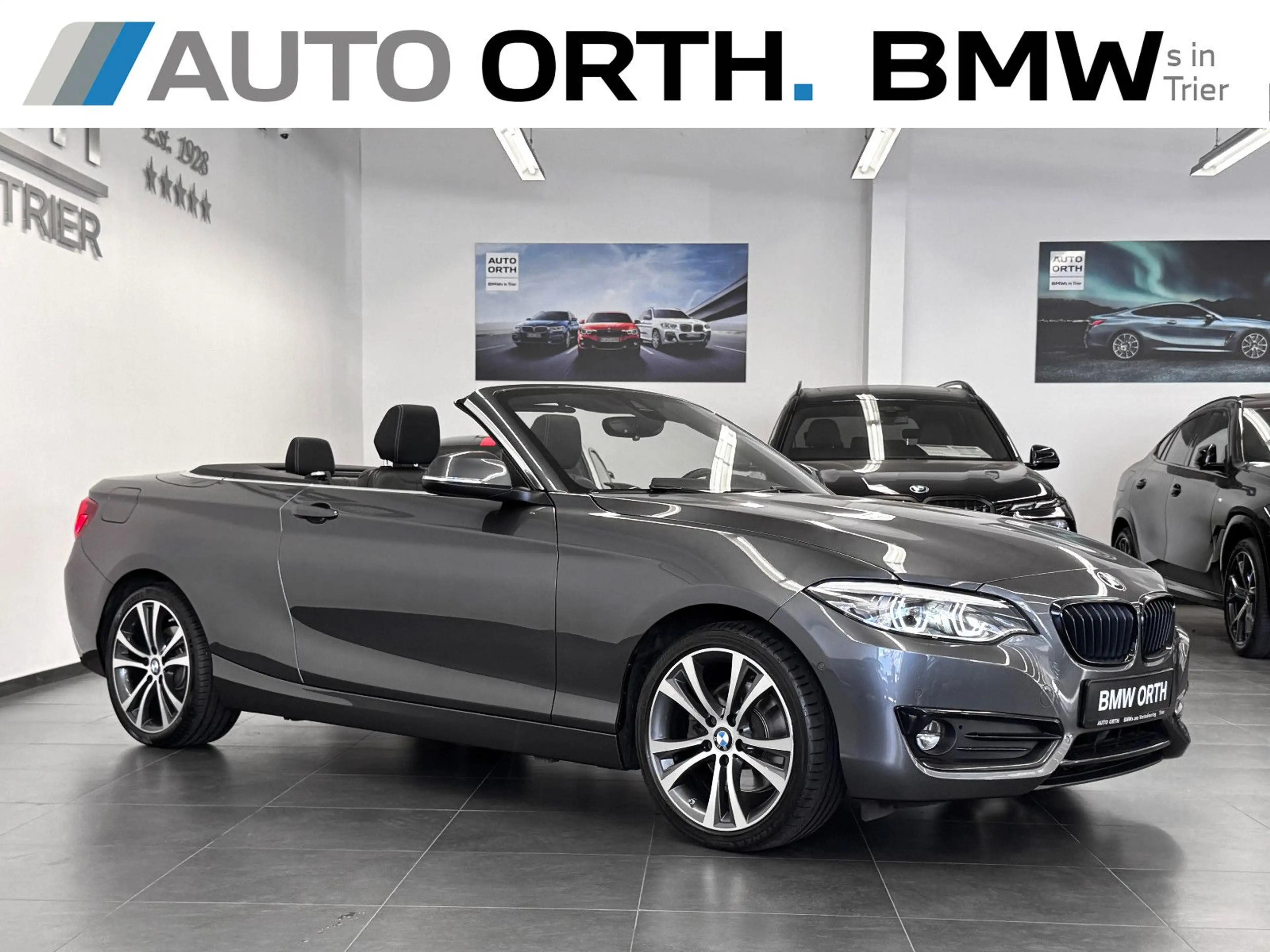 BMW 220 i Cabrio AUT. SPORT-LINE LEDER NAVI-P LED RFK — photo 3