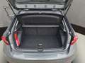 Skoda Fabia Drive 1.0 TSI Grau - thumbnail 19