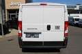 Fiat Ducato Ducato KW30 L2H1 120MT Klima Park Tempomat  Net... Weiß - thumbnail 5