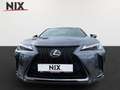 Lexus UX 300h 2.0 Hybrid F-Sport Design LED SHZ Szürke - thumbnail 5