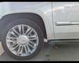 Cadillac Escalade 6.2L V8 AT AWD Platinum Weiß - thumbnail 6