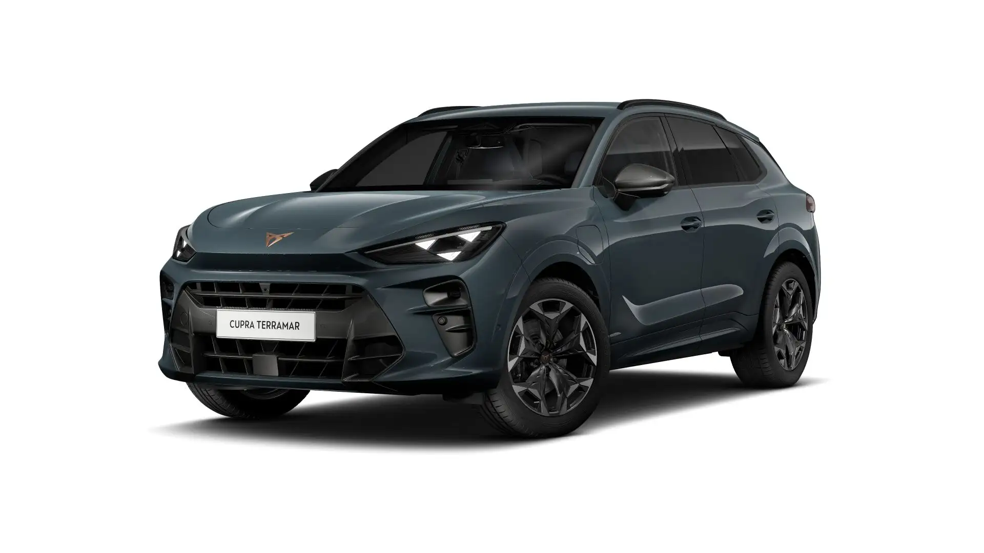 CUPRA Terramar VZ Performance | 360 graden camera | Achteruitrijc Blauw - 1