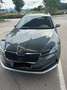 Skoda Superb Superb Kombi 2,0 TDI 4x4 Scout DSG Scout Grau - thumbnail 1