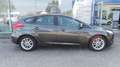 Ford Focus 1,0 EcoBoost Trend Grau - thumbnail 4